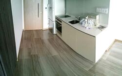 Lakeville (D22), Condominium #557053231